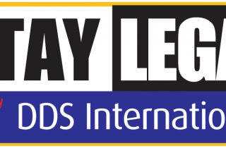 DDS International Logo L
