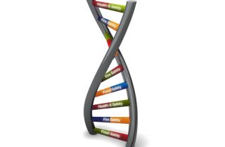 Health & Safety DNA